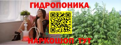 Альфа ПВП Малгобек