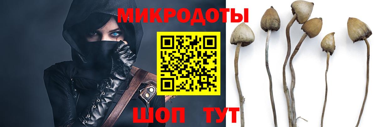 Псилоцибиновые грибы Psilocybe  Псилоцибиновые грибы мухоморы  Бугуруслан  Вход с VPN 
